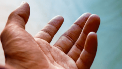 what-makes-a-rehabilitation-centre-in-hyderabad-the-perfect-place-for-recovery?
