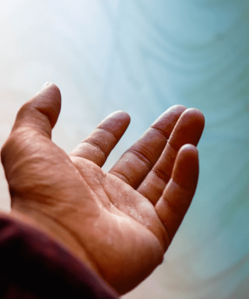 what-makes-a-rehabilitation-centre-in-hyderabad-the-perfect-place-for-recovery?