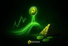 the-future-of-defi-banking:-paydax-protocol-bridges-crypto-and-real-world-assets