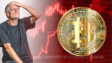 xa16p-operation-and-the-irreversible-loss-of-investor-capital