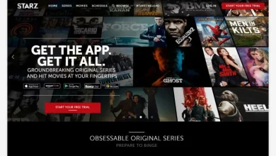 the-best-netflix-alternatives:-how-moviebox-stands-out?