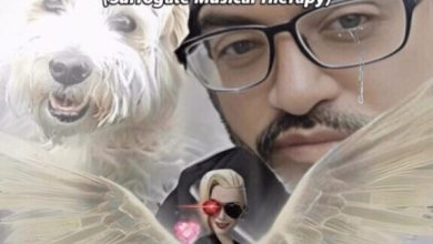 introducing-ai-surrogate-musical-therapy-with-the-world’s-1st-ai-surrogate-song-“walk-my-dog-again”